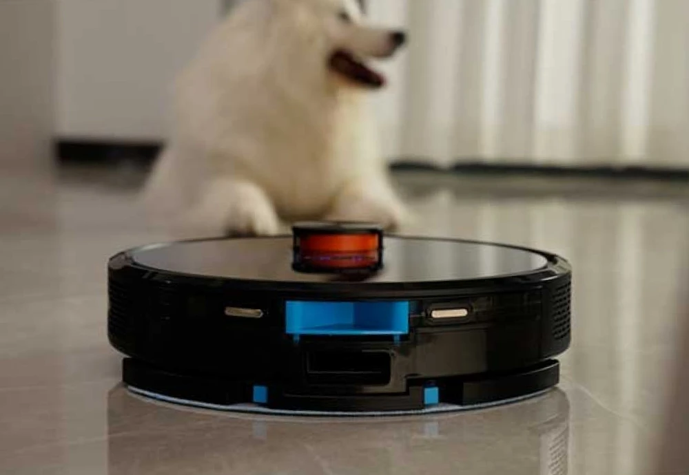 robotic vacuum cleaner with map navigation function